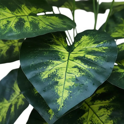 Planta Dieffenbachia 80 cm - 24 Hojas