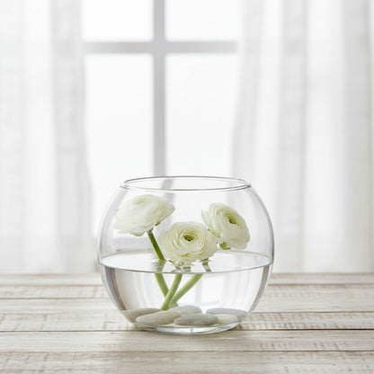 Florero Pecera Vidrio 6 X 6 cm