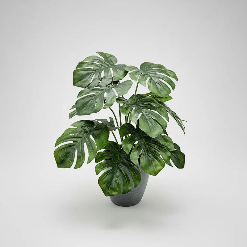 Ramo Esqueleto De Caballo Mediano 39 cm Con 12 Hojas