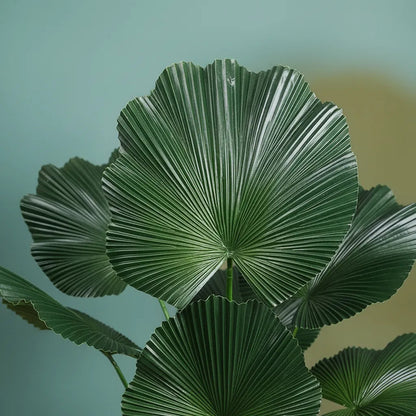 Planta Artificial Palmera Licuala 98 cm