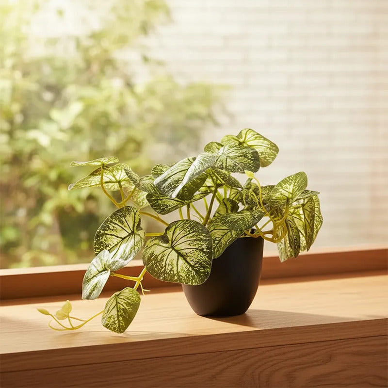 Planta Artificial Dieffenbachia Enredadera En Maceta 23cm