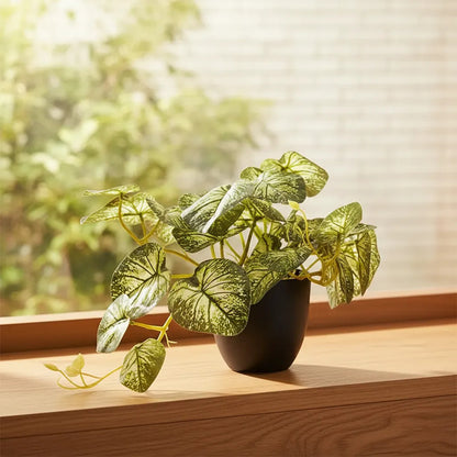 Planta Artificial Dieffenbachia Enredadera En Maceta 23cm