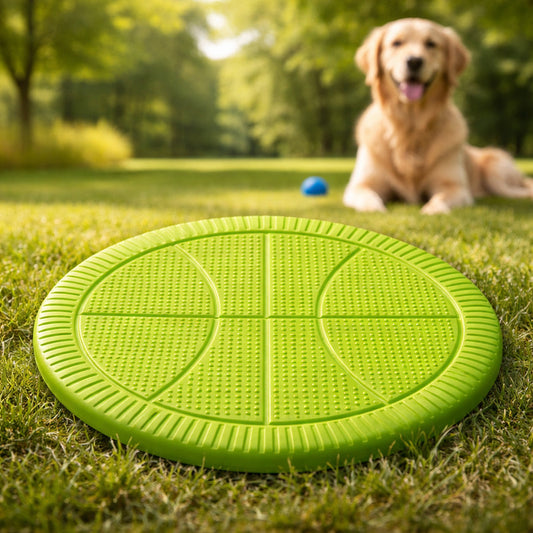 Frisbee Para Mascotas De Silicona 19 cm