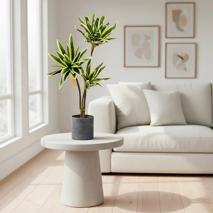 Planta Artificial Drácena 60 cm