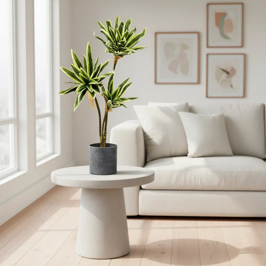 Planta Artificial Drácena 60 cm