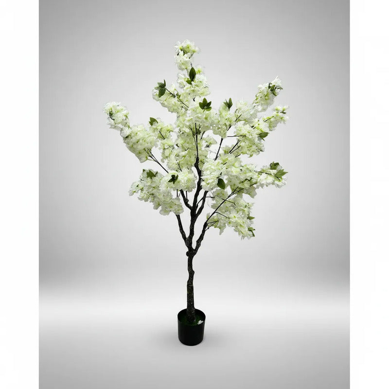 Árbol Cerezo Grande 1,50mts