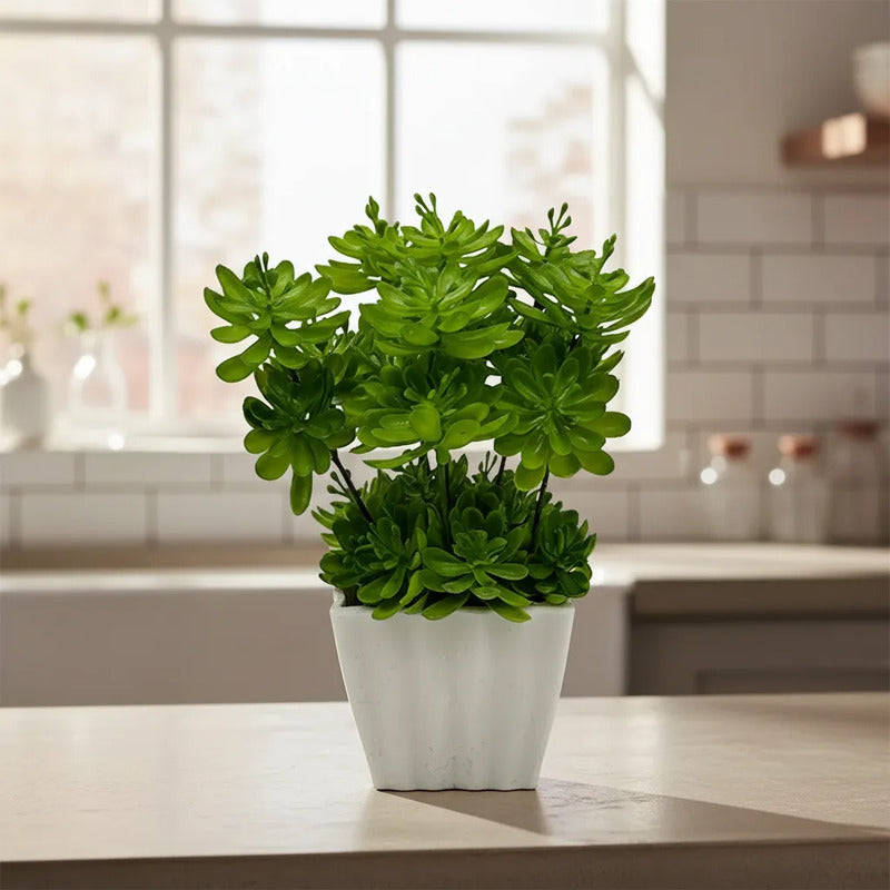 Planta Artificial Sedum En Maceta