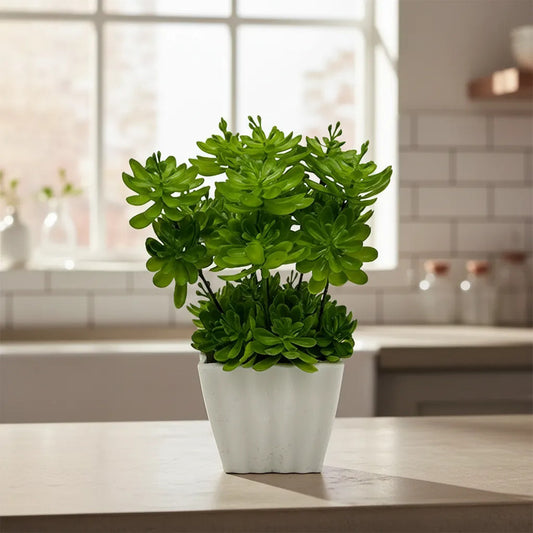 Planta Artificial Sedum En Maceta