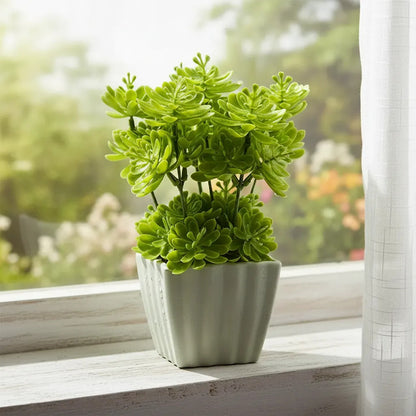 Planta Artificial Sedum En Maceta