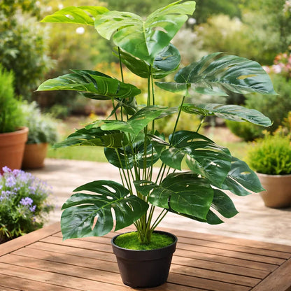 Planta Esqueleto De Caballo 1 Metro Con 18 Hojas Decoración Verde