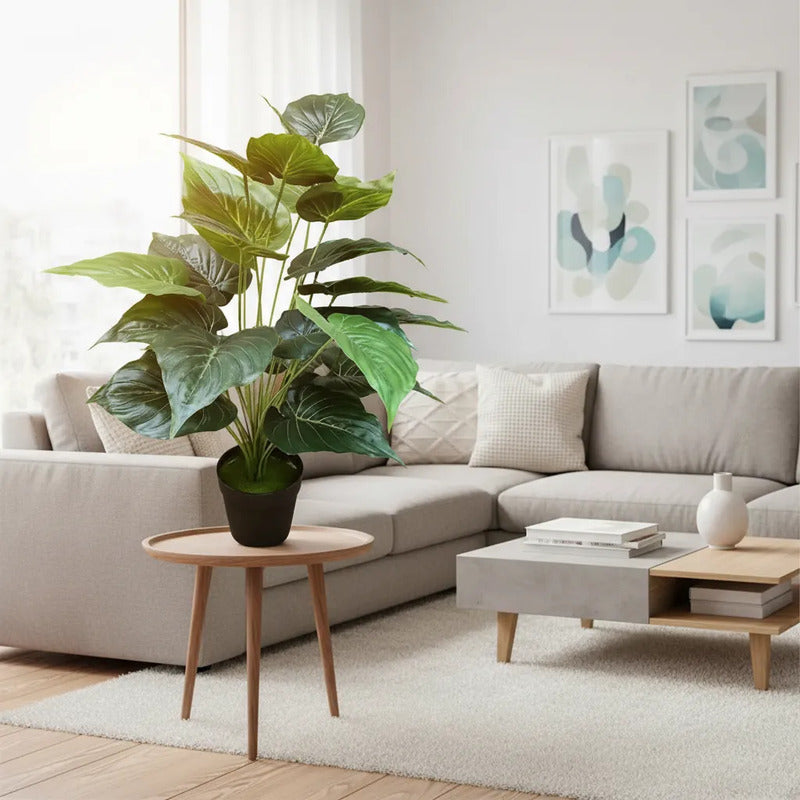 Planta Alocasia 75cm - 24 Hojas