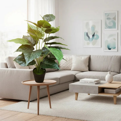 Planta Alocasia 75cm - 24 Hojas