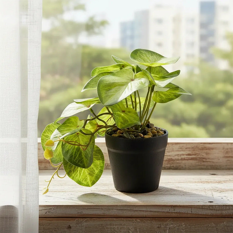 Planta Artificial Alphaaca Enredadera En Maceta 18cm