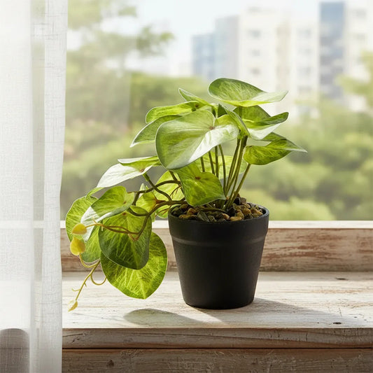Planta Artificial Alphaaca Enredadera En Maceta