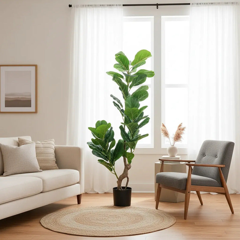 Planta Fikus 1.25m - 48 Hojas