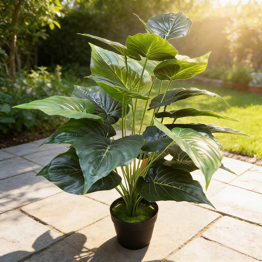 Planta Alocasia 75cm - 24 Hojas