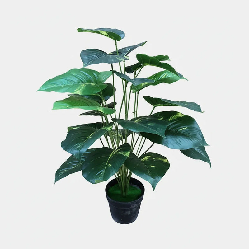 Planta Pottus 80cm - 24 Hojas