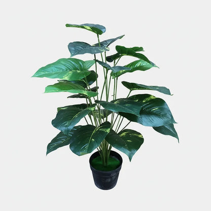Planta Pottus 80cm - 24 Hojas