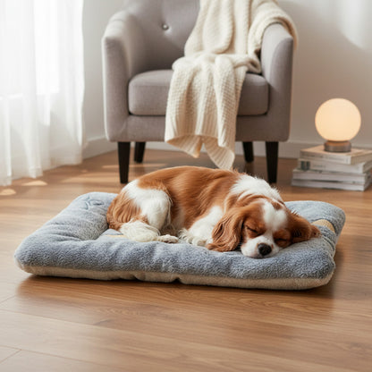 Cama Tipo Manta 50 X 34 cm