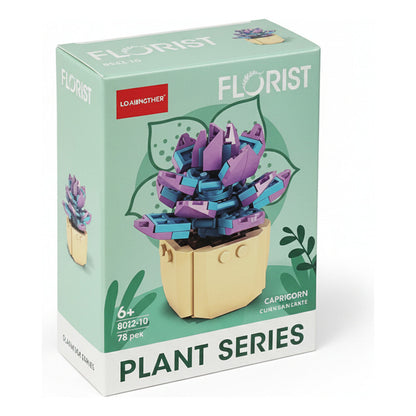 Bloques De Encastre Plantas 9cm
