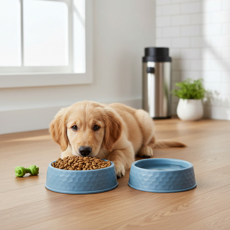 Comedero Para Mascotas 18cm