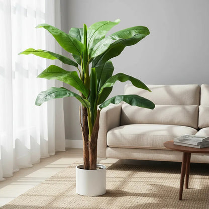 Planta De Banana 1,65 mts