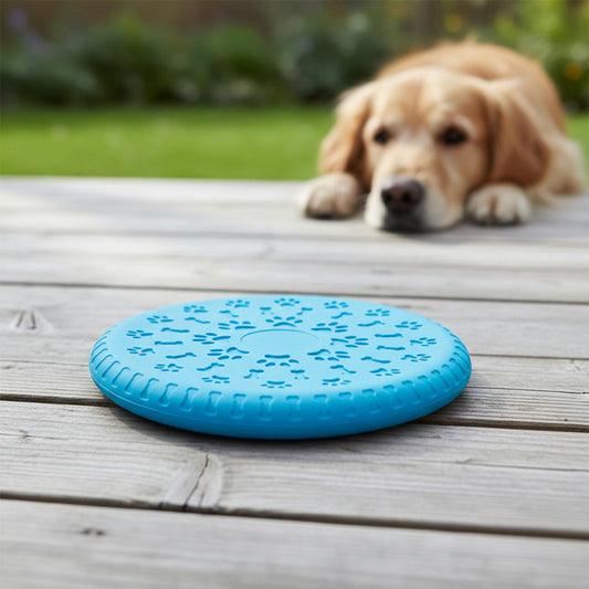 Frisbee Para Mascotas De Silicona 19 cm