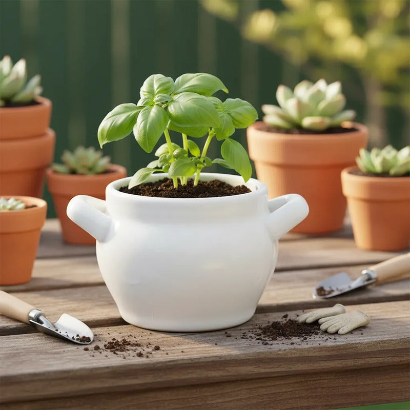 Maceta Mini Jarrón De Cerámica Con Azas 6,5 cm