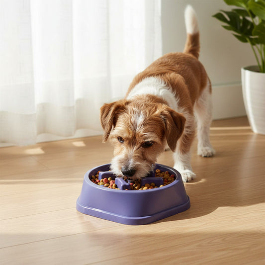 Comedero Come Lento Anti Ansiedad 18cm