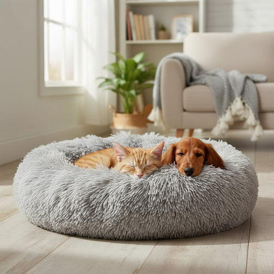 Cama Peludita 47 X 15 cm