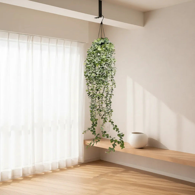 Planta Colgante Eucalipto 80 cm