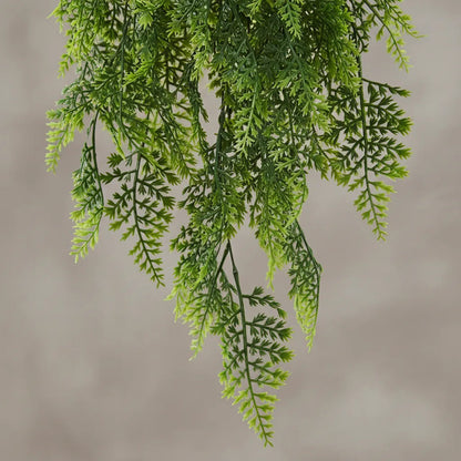 Planta Colgante Pino 80 cm
