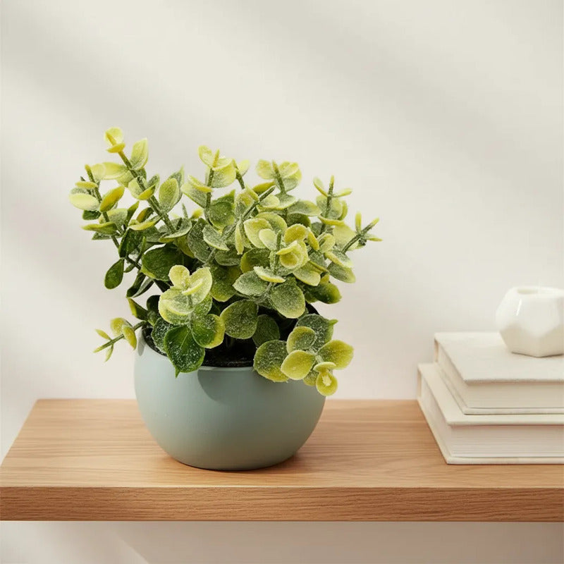 Planta Artificial Eucalipto Con Maceta