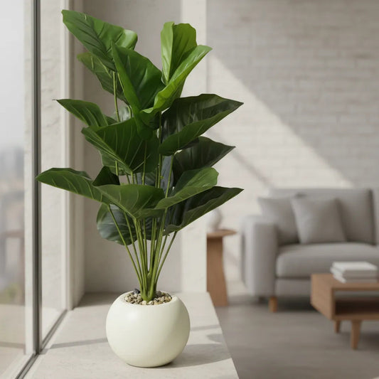 Planta Dieffenbachia 75 cm