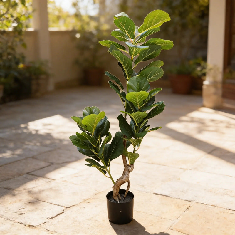 Planta Fikus 1.25m - 48 Hojas