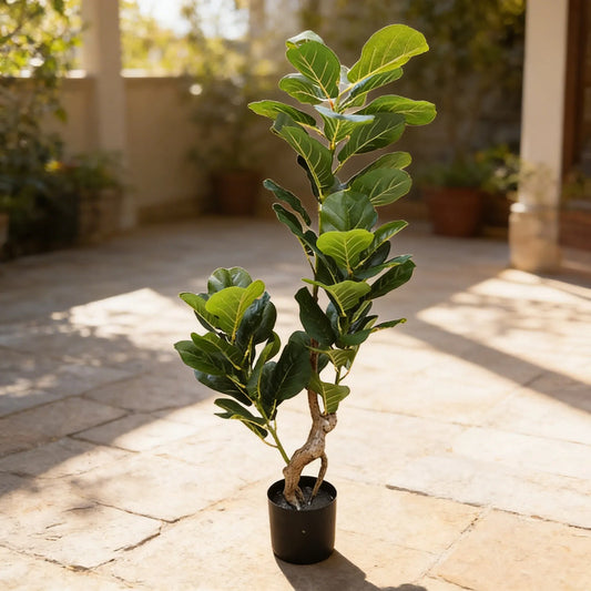 Planta Fikus 1.25m - 48 Hojas