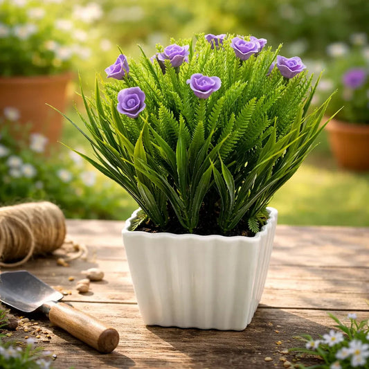 Planta Rosita Con Pasto En Maceta