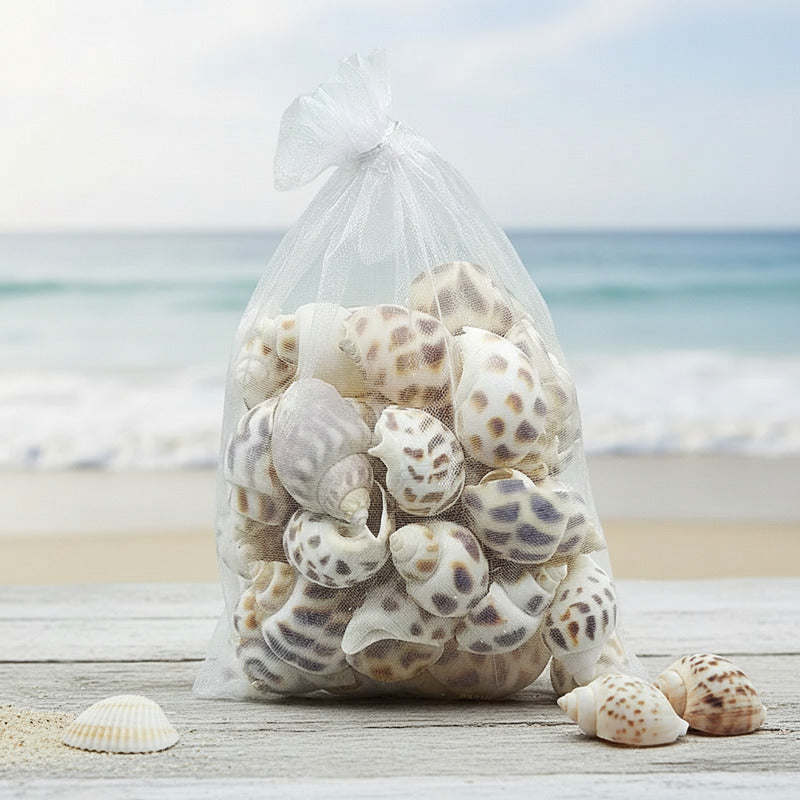 Caracoles De Mar 150 gr