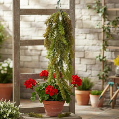 Planta Colgante Pino Frondoso 92 cm