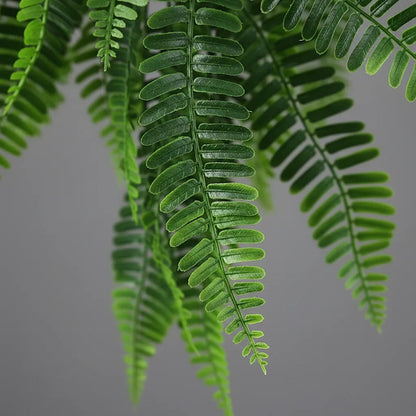Planta Colgante Helecho Serrucho 80 cm