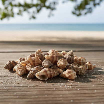 Caracoles De Mar 150g