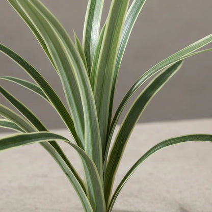 Planta Artificial Tallo De 15 Brotes