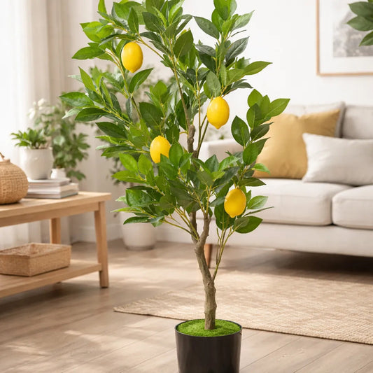 Árbol Limonero