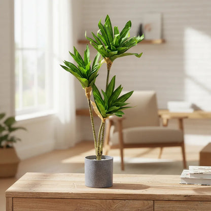 Planta Artificial Drácena 60 cm