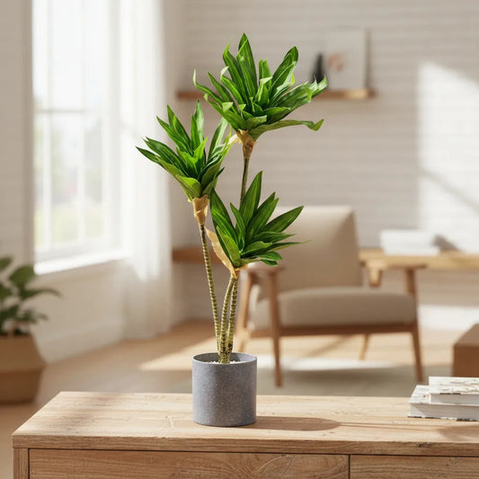 Planta Artificial Drácena 60 cm