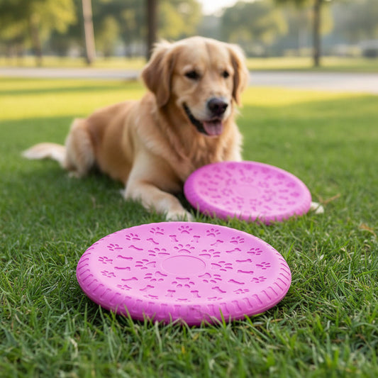 Frisbee Para Mascotas De Silicona 19 cm