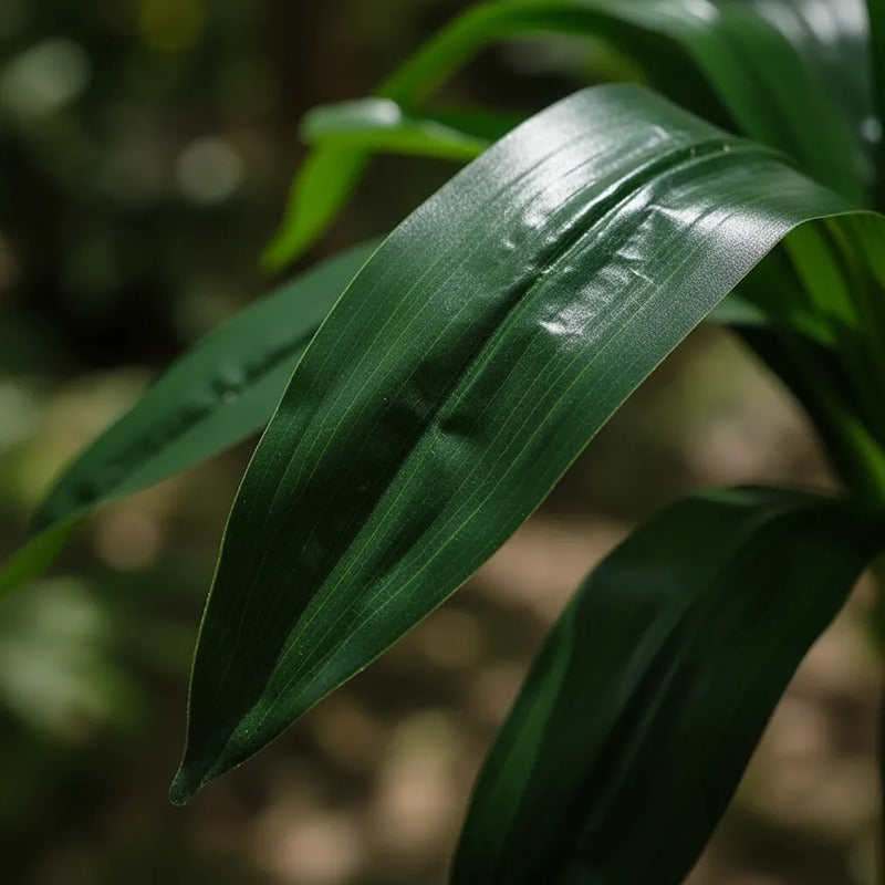 Planta Palo De Agua 140cm