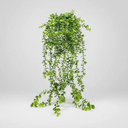 Planta Colgante Eucalipto 80 cm