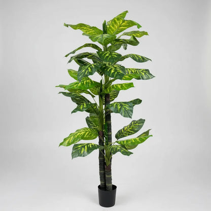 Planta Gomero 2.10 mts