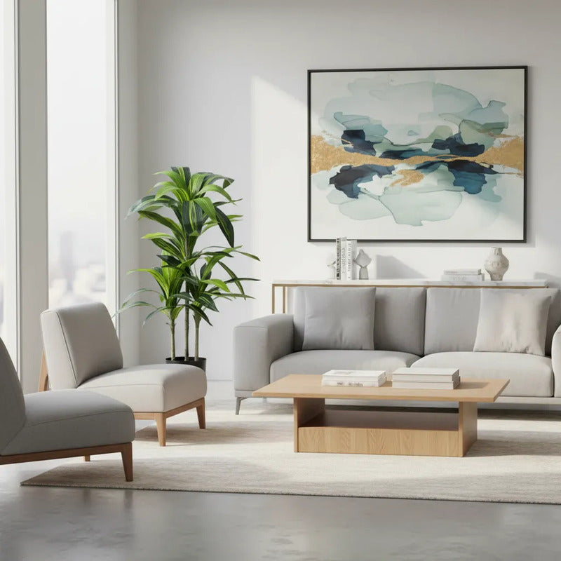 Planta Drácena 1 mts